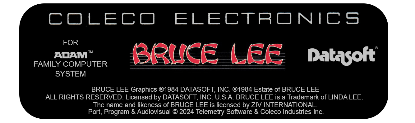 Bruce Lee Floppy Disk